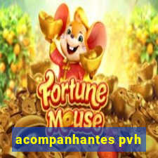 acompanhantes pvh