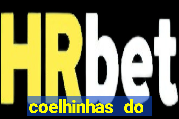 coelhinhas do brasil recife