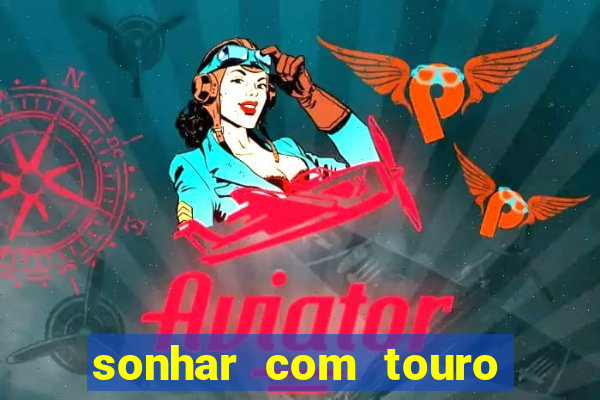 sonhar com touro bravo no mundo espiritual