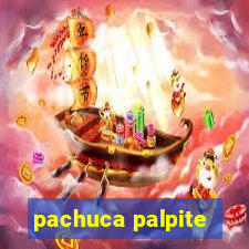 pachuca palpite