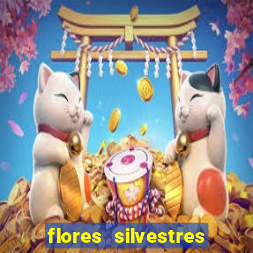 flores silvestres desbravadores desbravadores 25