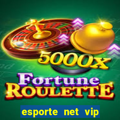 esporte net vip bet apostas