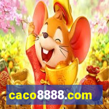 caco8888.com