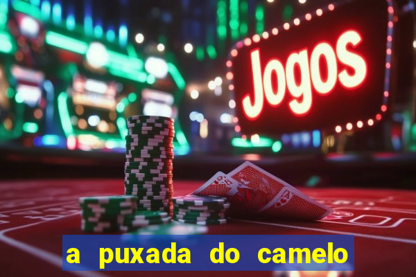 a puxada do camelo no jogo do bicho