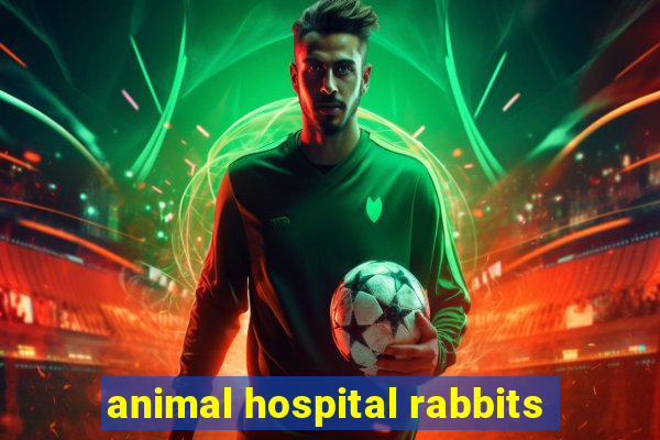 animal hospital rabbits