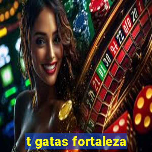 t gatas fortaleza