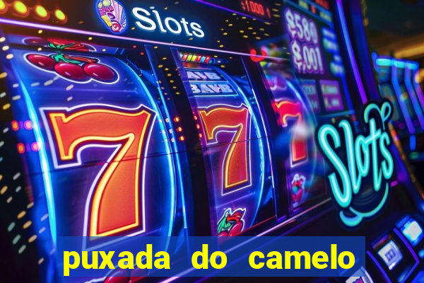 puxada do camelo jogo do bicho