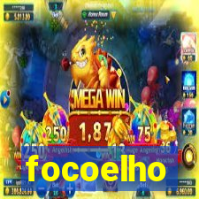 focoelho